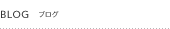 BLOG �u���O
