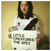 LITTLE CREATURES / the apex
