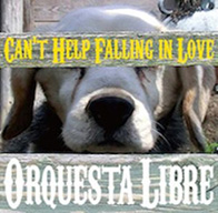 Orquesta Libre / Can't Help Falling In Love�E�D���ɂȂ炸�ɂ����Ȃ�